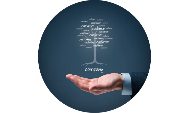 Company and customers metaphor. Company as a root of tree and customers as leaves of tree.